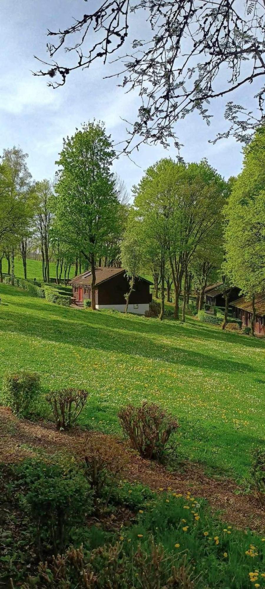 Chalet 9 La Boverie Rendeux Luaran gambar