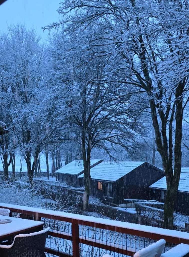 Chalet 9 La Boverie Rendeux Luaran gambar